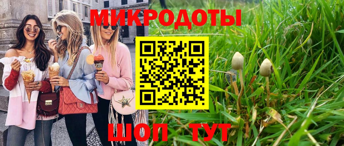 Псилоцибиновые грибы мицелий Гуково